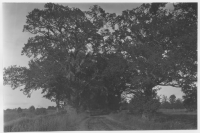 Värnanäs herrgård