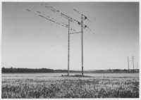 Gualövs socken, höststrykande starar