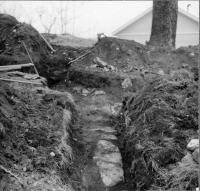 Mariefred, Kartusianerklostrets ruin