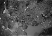 Alvastra pålbyggnad