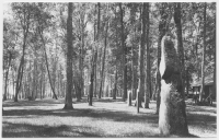 Dagsnäs slott, 1700-talsparken