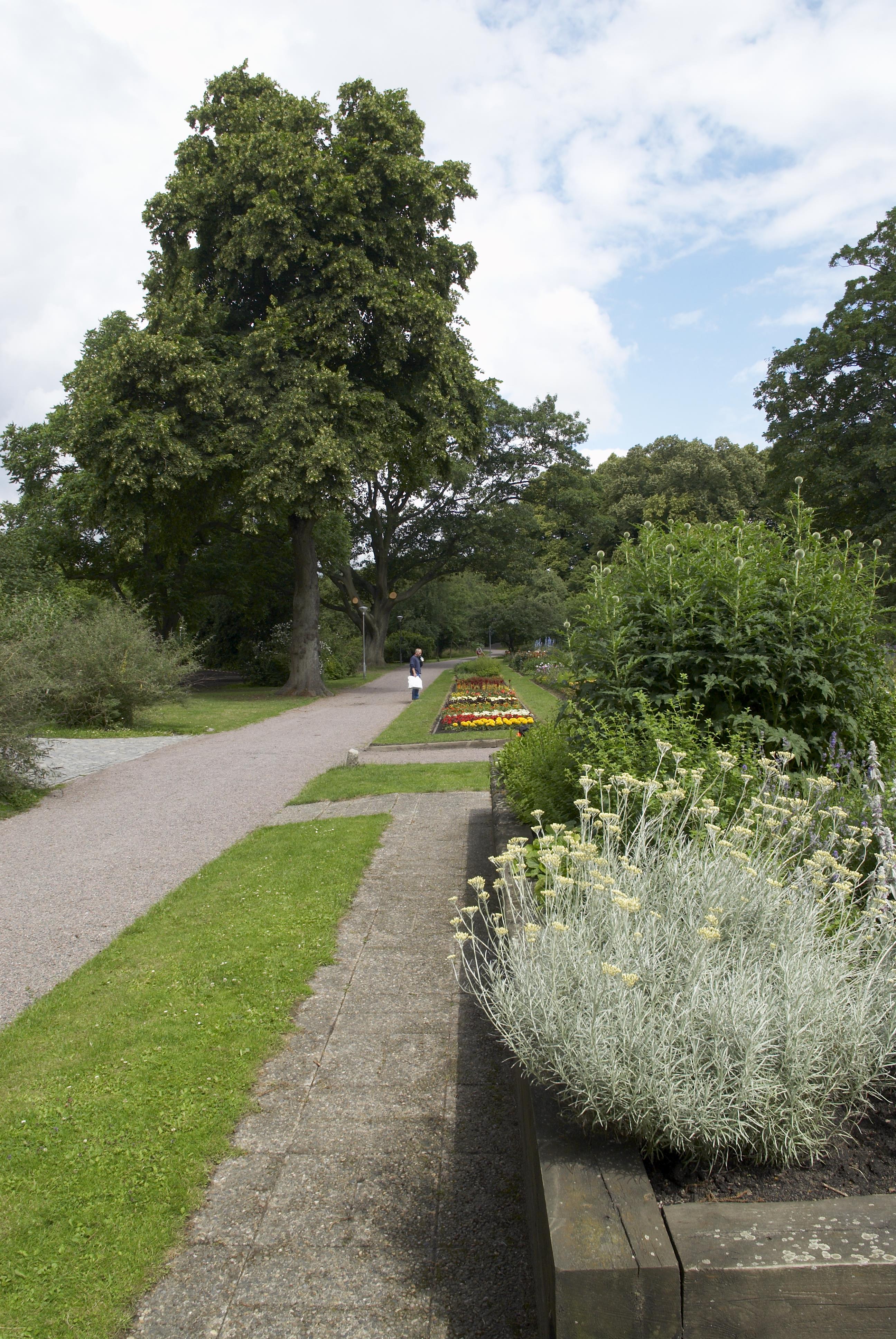 Bengt A Lundberg, Botaniska trädgården i Lund