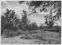 Borekulle, ödelagt torpställe