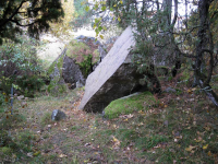 Image of Sö 331