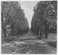 Danbyholms herrgård