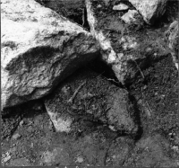 Svanskog, Hedane kapell