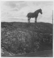 Jäders socken, betesmarker