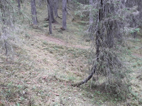 Fångstgrop L1948:9544