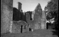 Bective Abbey