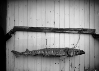 Rogsta, Bergöns kapell