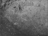 Vadstena Klosterkyrka