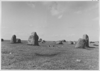 Ottenby, järnåldersgravfält norr om gården