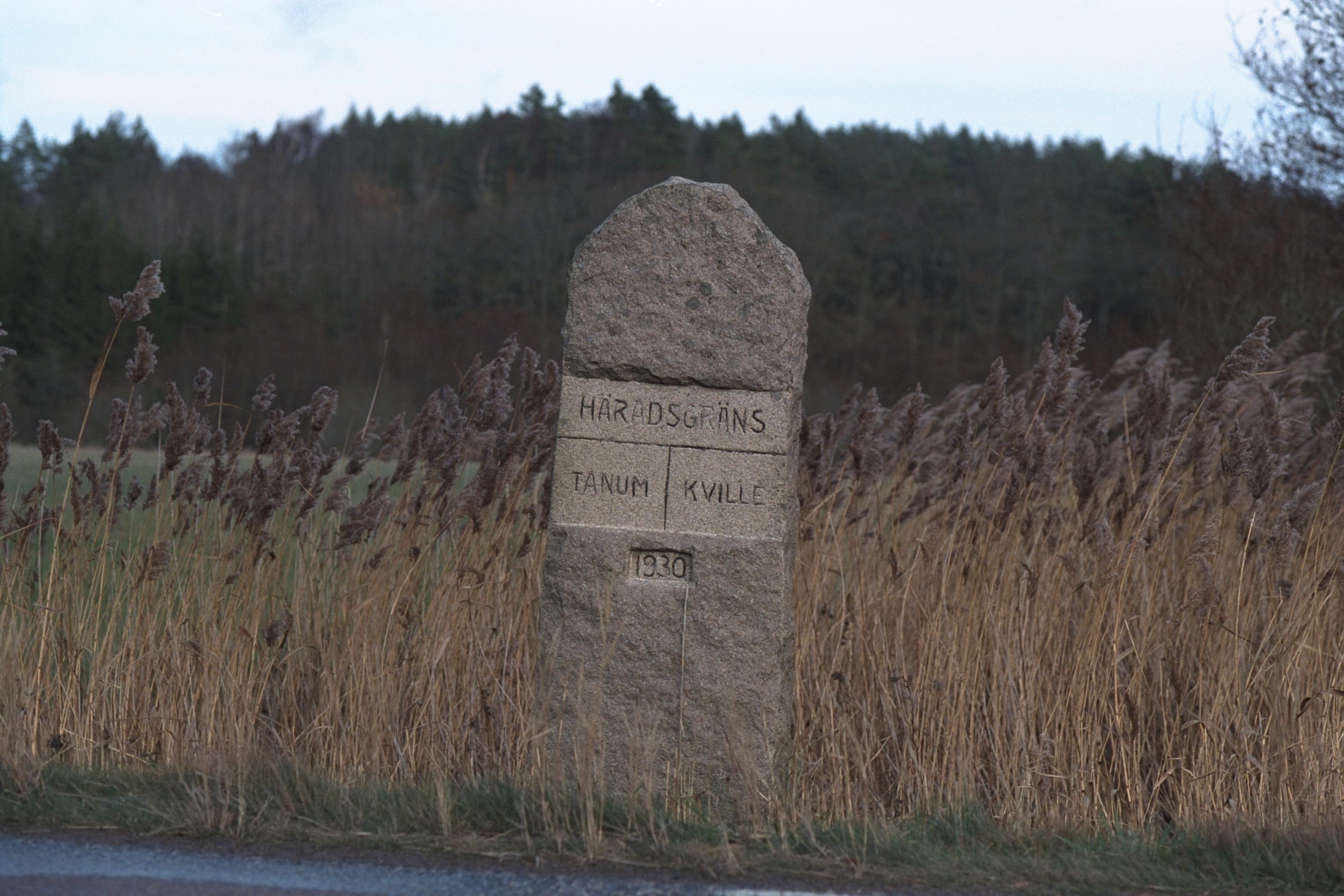 Bengt A Lundberg, Tanum