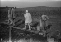 Alvastra pålbyggnad