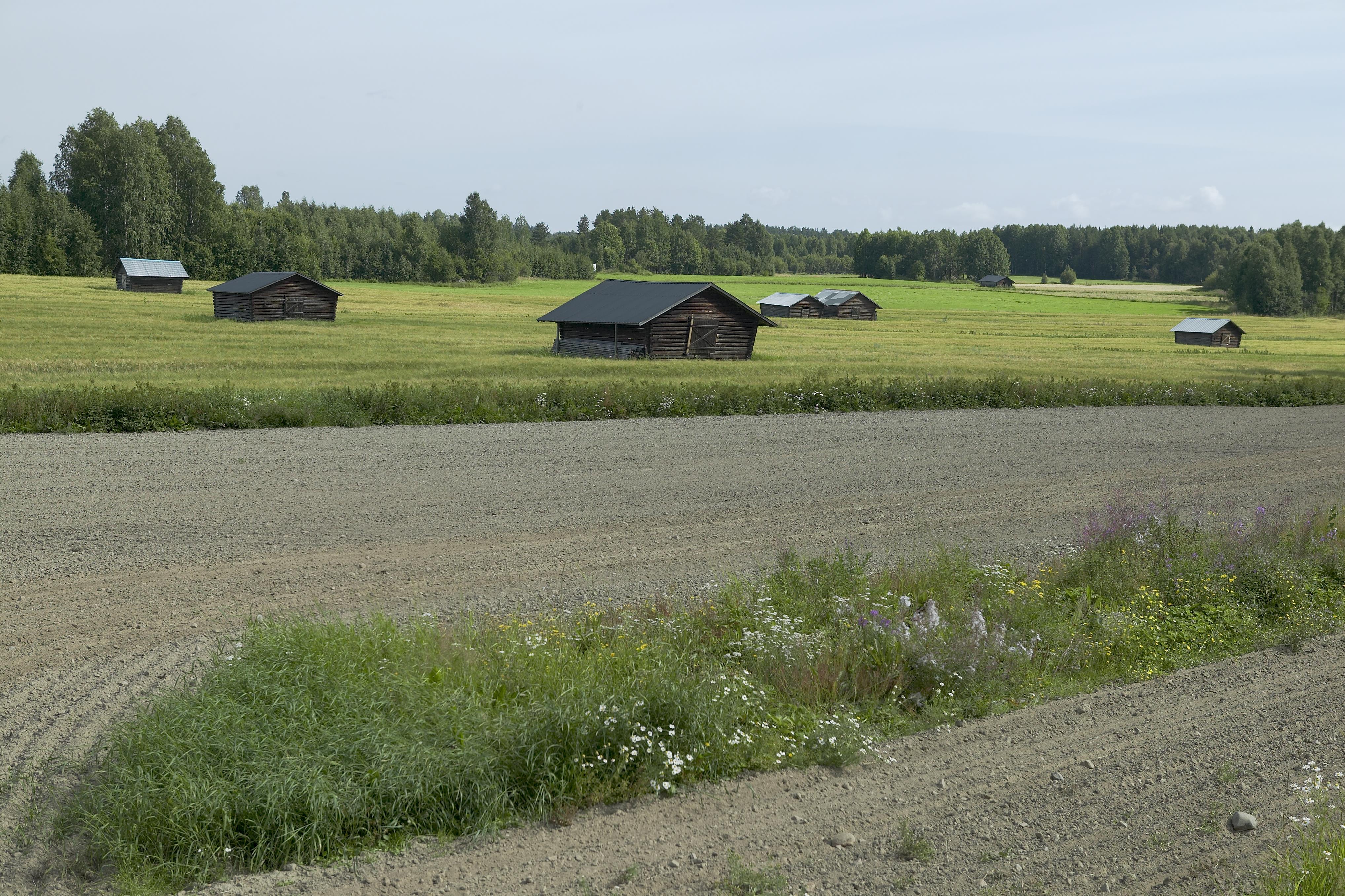 Bengt A Lundberg, Sjulnäs
