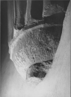 Skänninge, Vårfrukyrkan