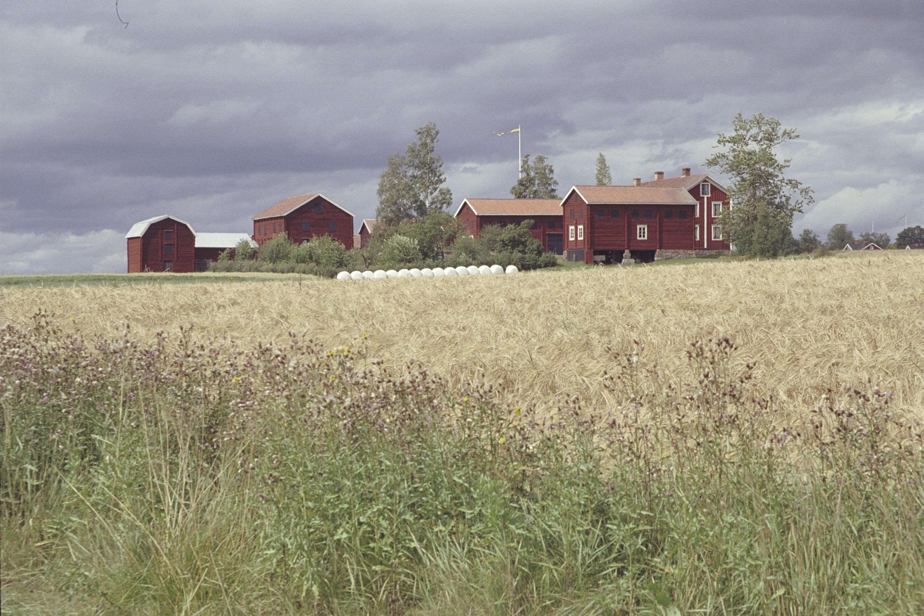 Bengt A Lundberg, Västeräng