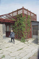 Image of Öl ACTARC37;211