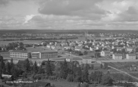 Umeå