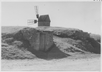 Eriksöre by, källare med jordtak