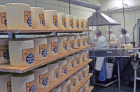 Ostkompaniet MC Mejeriet