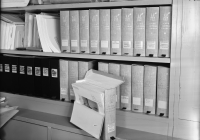 Skara domkyrka (Sankta Maria kyrka)