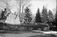Skog, Sankt Olofs kapellruin