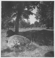 Ornunga socken, hagmark med ekar