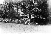 Image of Vg Fv2007;37