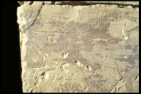 Image of Or Barnes16