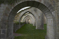 Image of Ög HedvallMenander473