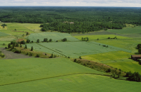 Husby-Långhundra 156:1