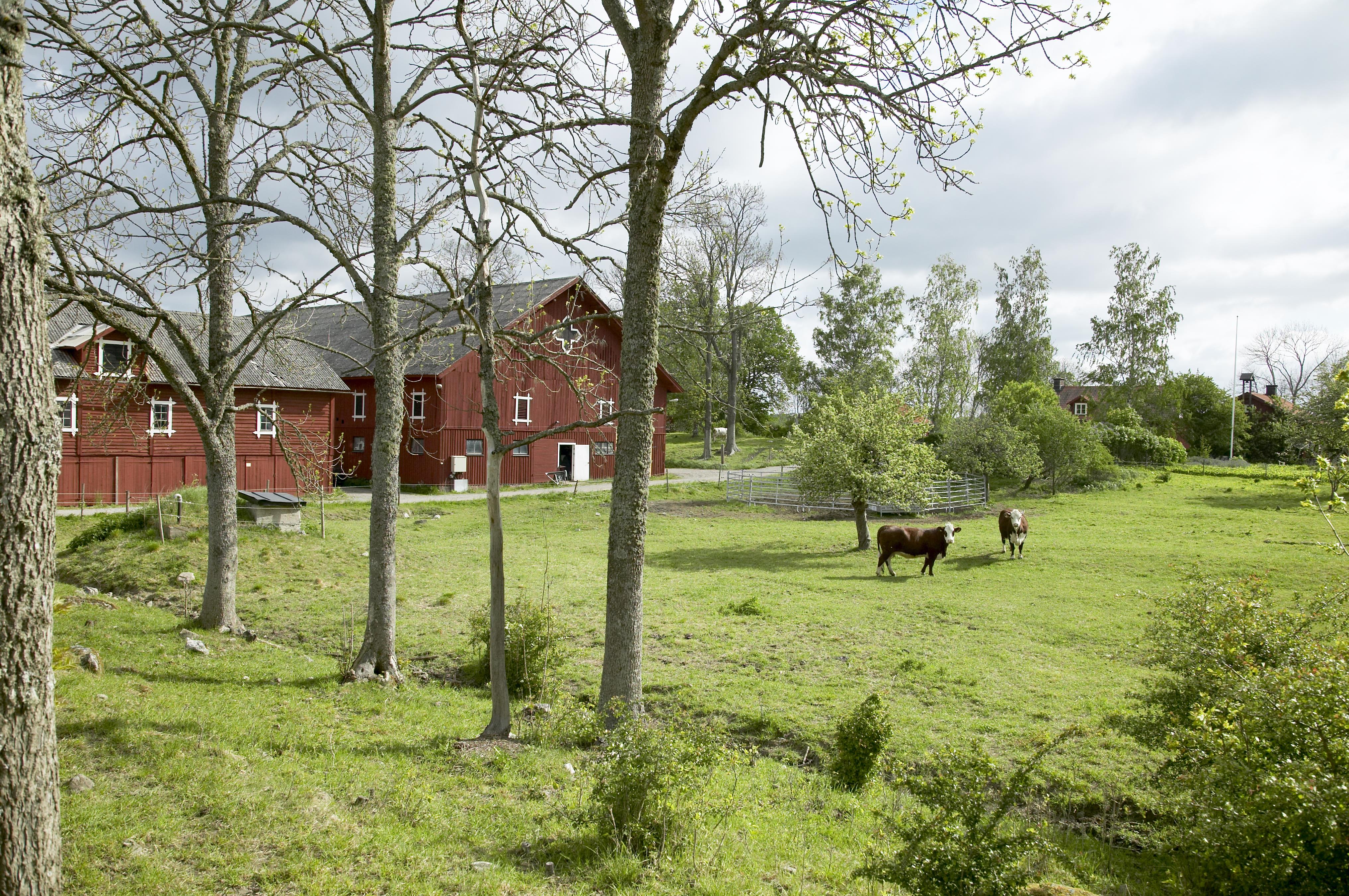 Bengt A Lundberg, Kungsbergs kungsgård