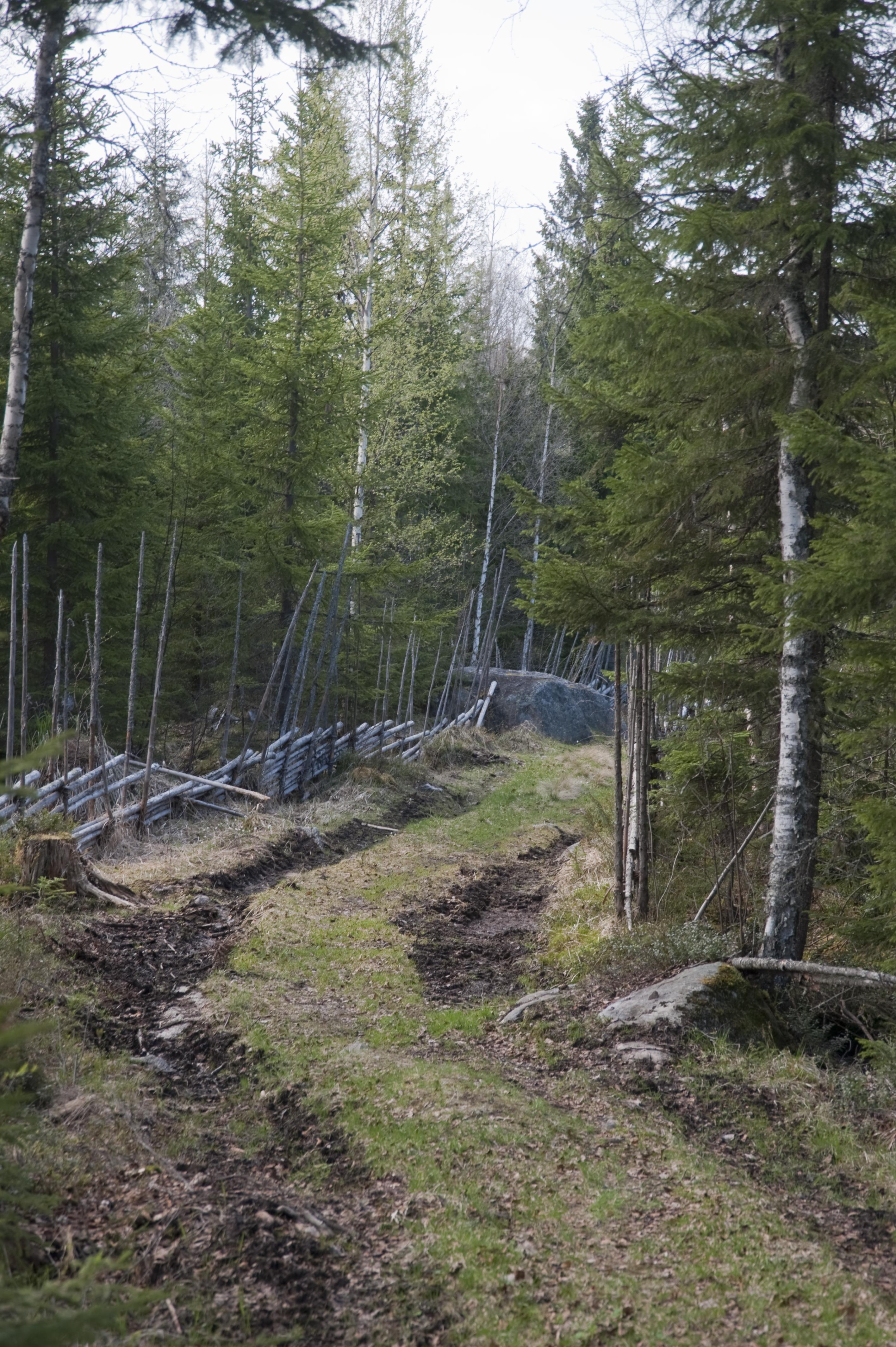 Bengt A Lundberg, Nordanstig Lindsjön 1:13