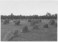 Järnåldersgravfältet vid Ågårds forsar, nära Nissan