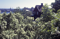 Södermalm