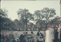 Skansen, Djurgården