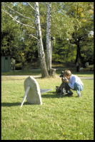 Image of Öl Fv1911;274B