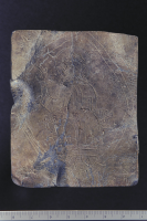 Image of DR NOR1999;21