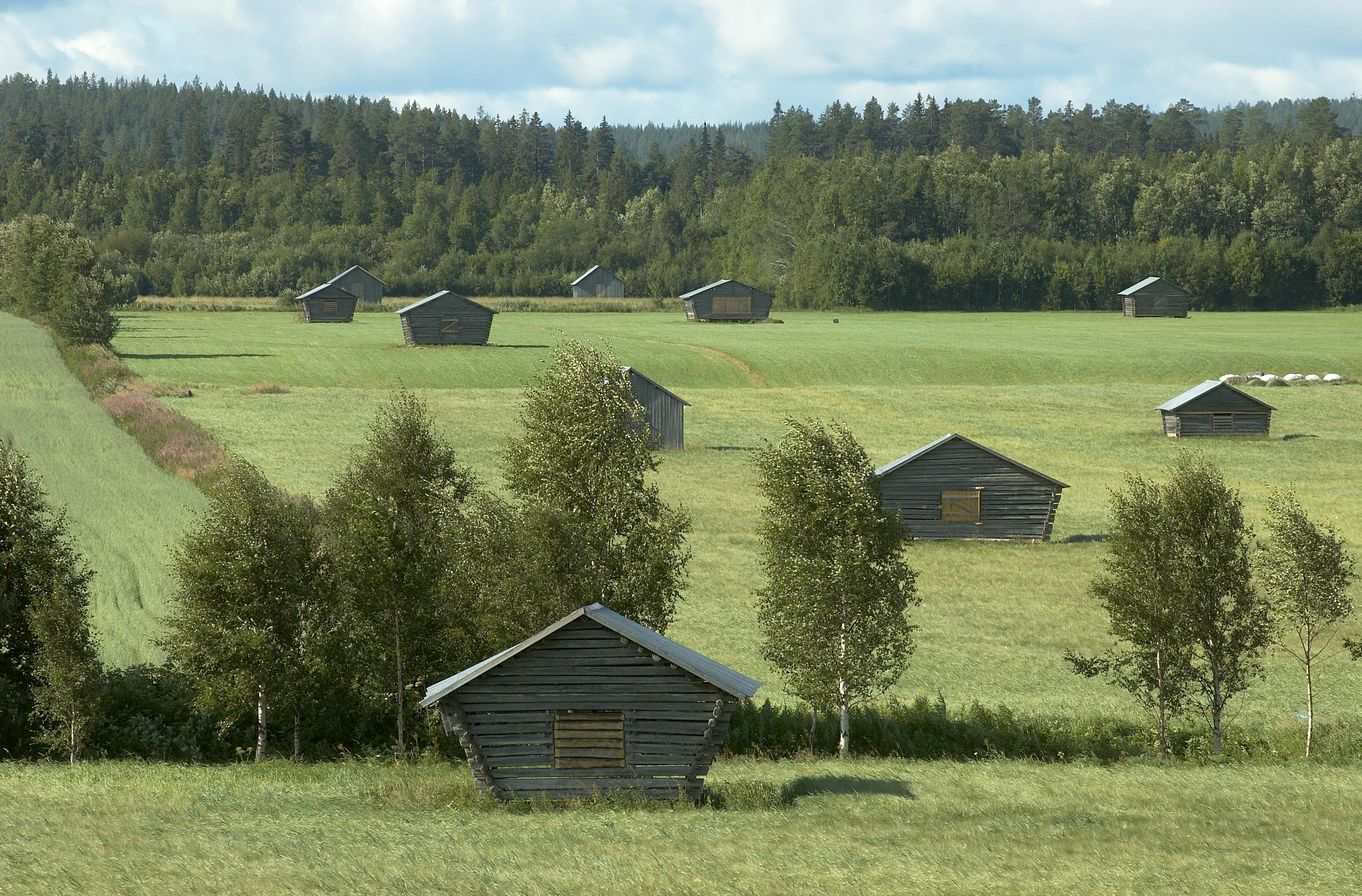 Bengt A Lundberg, Avan