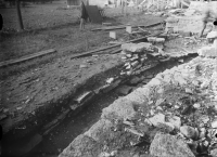 Varnhems klosterruin