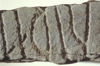 Image of Sm NOR2001;25