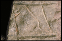 Image of Öl Köping3