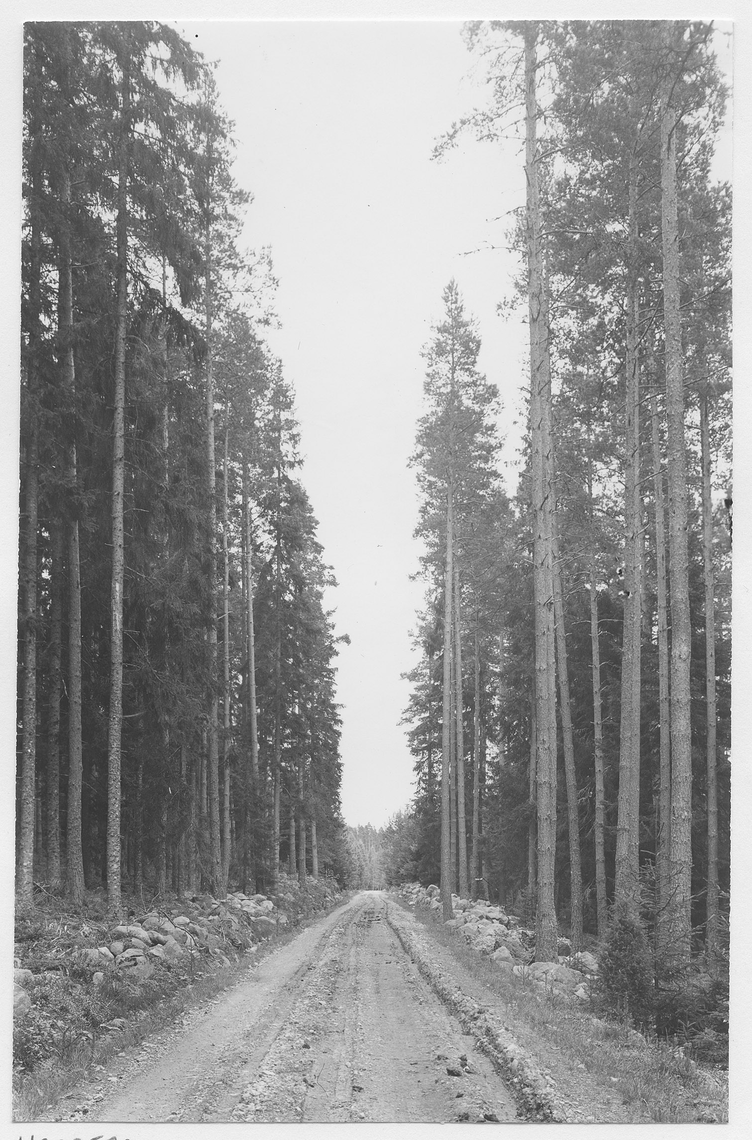 Mårten Sjöbeck, Finnerödja