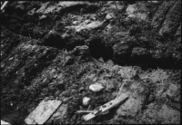 Alvastra pålbyggnad