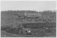 Norra Sandsjö socken, inkörsel av torv till torvströ