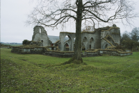 Image of Ög HedvallMenander473