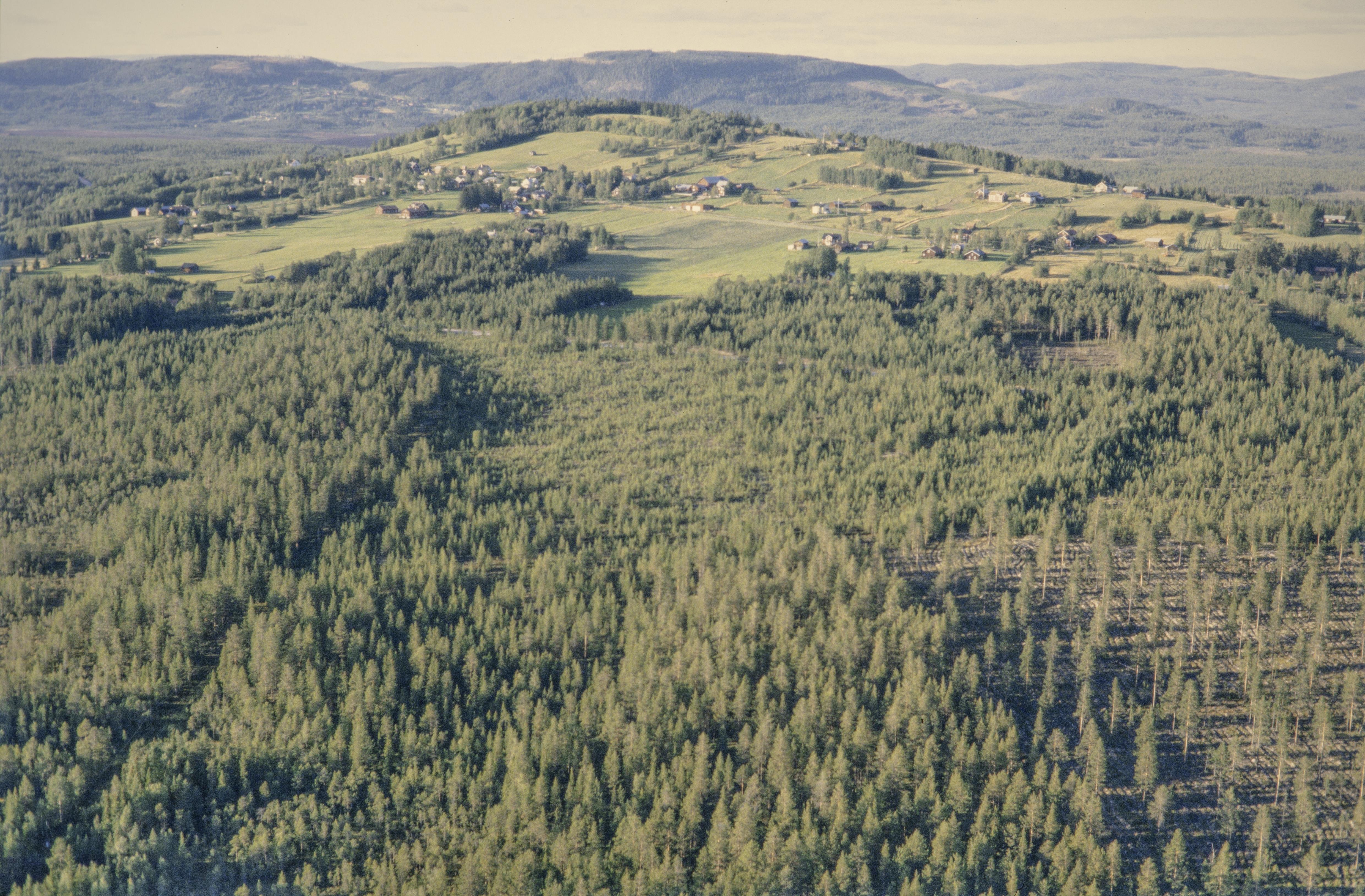 Jan Norrman, Sveg 1282