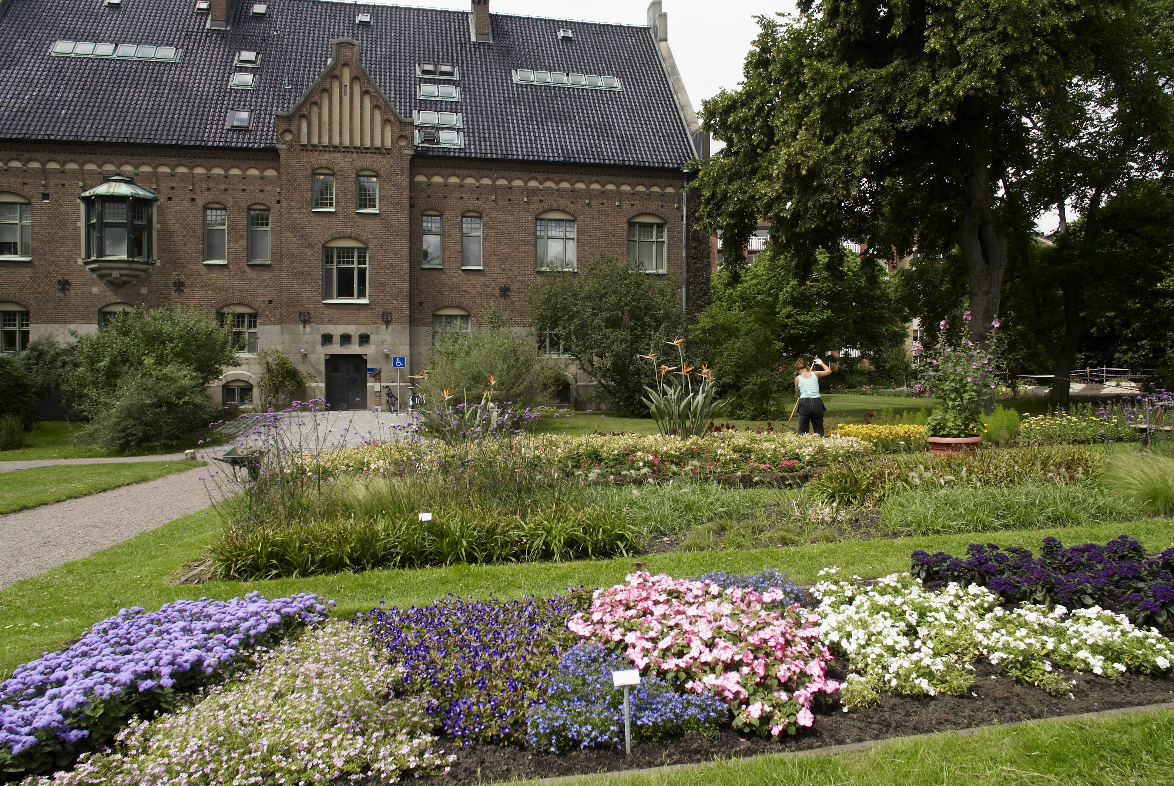 Bengt A Lundberg, Botaniska trädgården i Lund