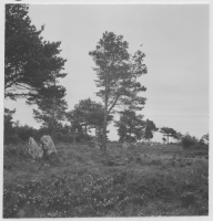 Grogarnsberget